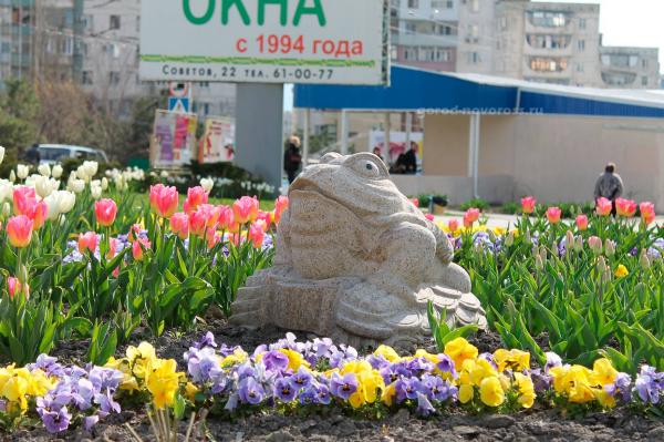 Скульптура денежной лягушки на Малоземельской в Новороссийске: фото, карта