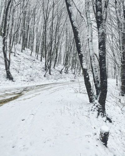 Снег в Новороссийске - фото 07.02.2020