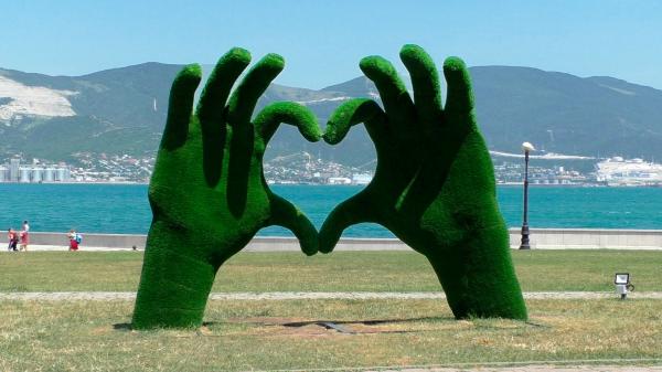 Зеленые руки, сложенные в сердечко – топиарий рядом с гостиницей «Новороссийск»