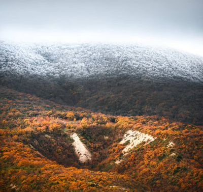 Осень и зима встретились в «заколдованном» лесу Новоросссийска - фото 15.11.2018