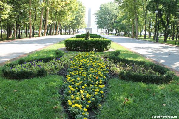 Площадь Героев. Аллея с цветами в виде узора