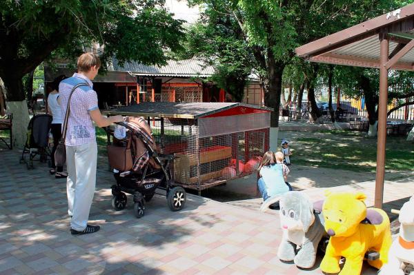 скульптура Веселый рыжий кот парк Фрунзе