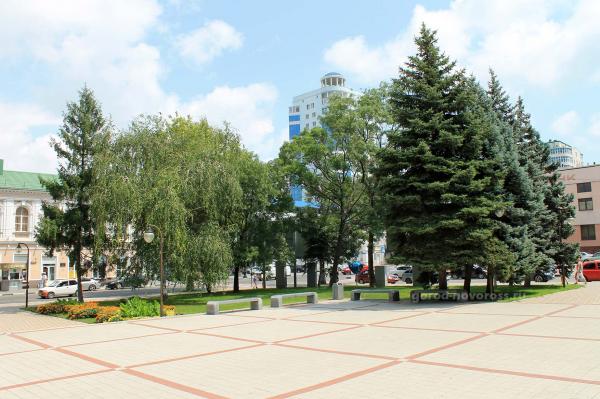 Внутри сквера Пушкина в парковой аллее в Новороссийске