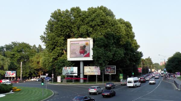 Парковая аллея в Новоросийске -фото