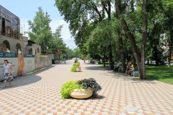 Озелененный сквер Пушкина в парковой аллее в Новороссийске