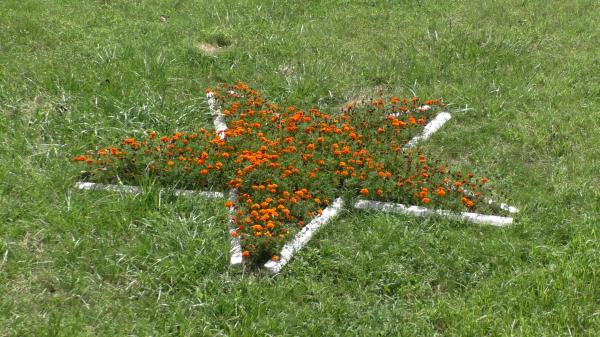 Звезда из цветков возле памятника «Колодец жизни» в Новороссийске