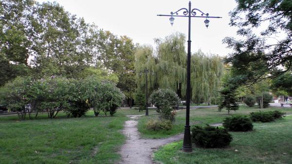 Озеленение в сквере им. Чайковского в Новороссийске