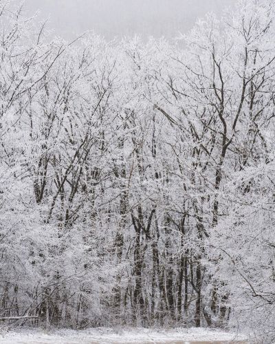 Зимняя сказка в горах Новороссийска - фото январь 2020