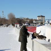 Добрый дедушка кормит кошек в Парке Фрунзе. Зима 2014. Новороссийск