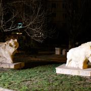 Ночной вид на скульптуры кабана и медведя. 2014 год. Новороссийск