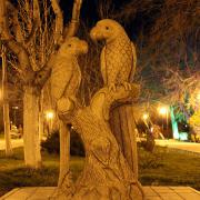 Два попугая в парке Фрунзе. Новороссийск ночью. 2014 год