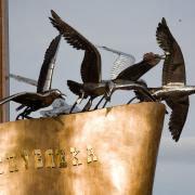 Новороссийск. Птицы на памятнике крупным планом