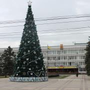 Новогодняя елка возле администрации Новороссийска. Зима 2014 год