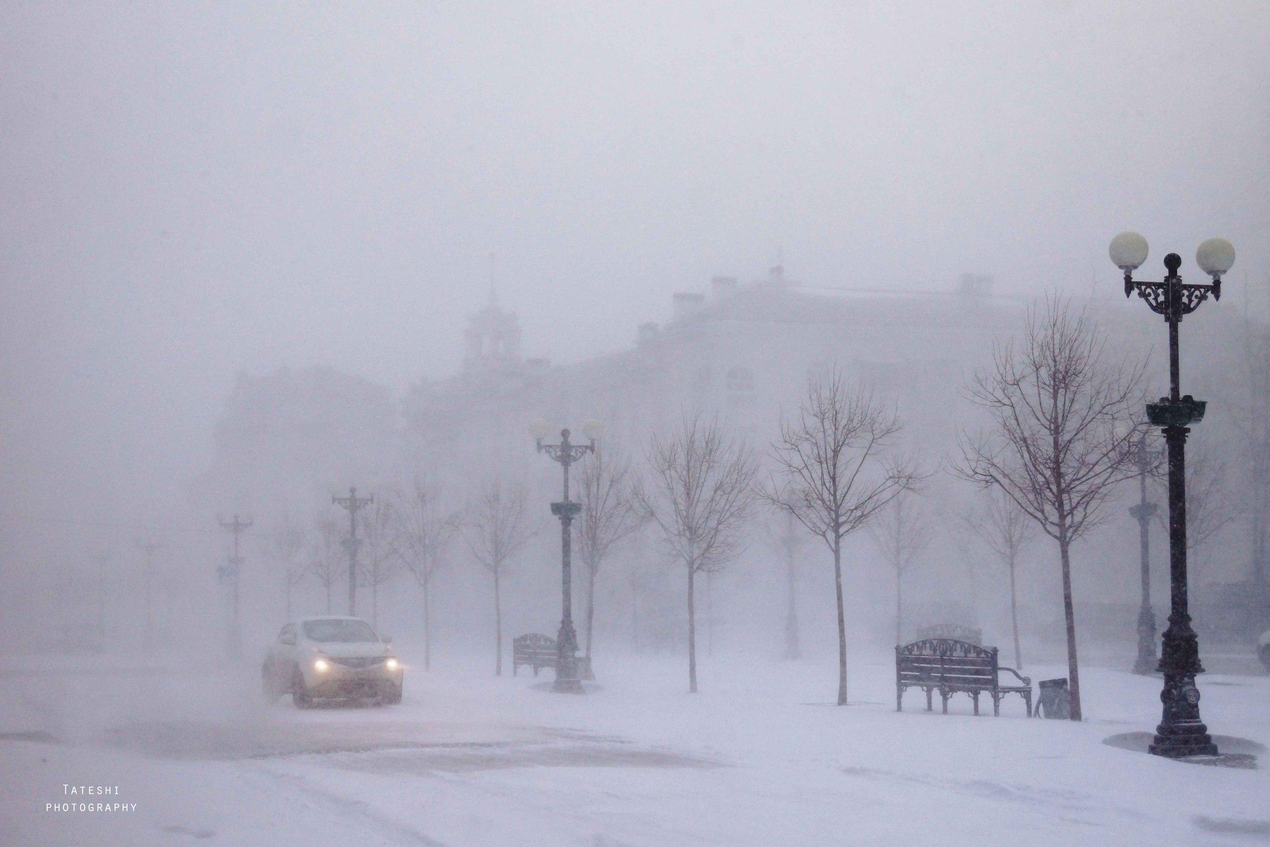 Зимой в Новороссийске 2015