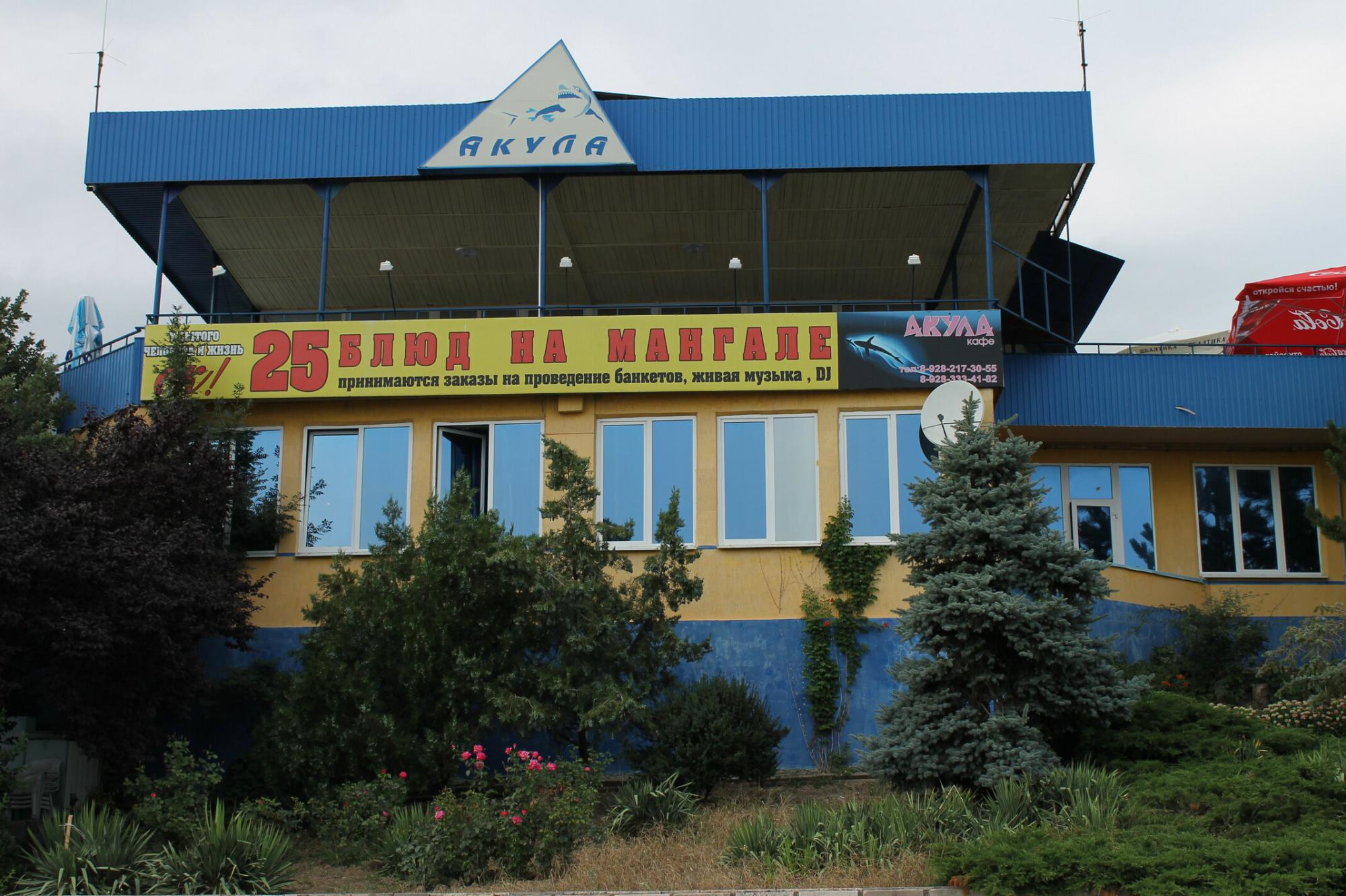 клуб акула