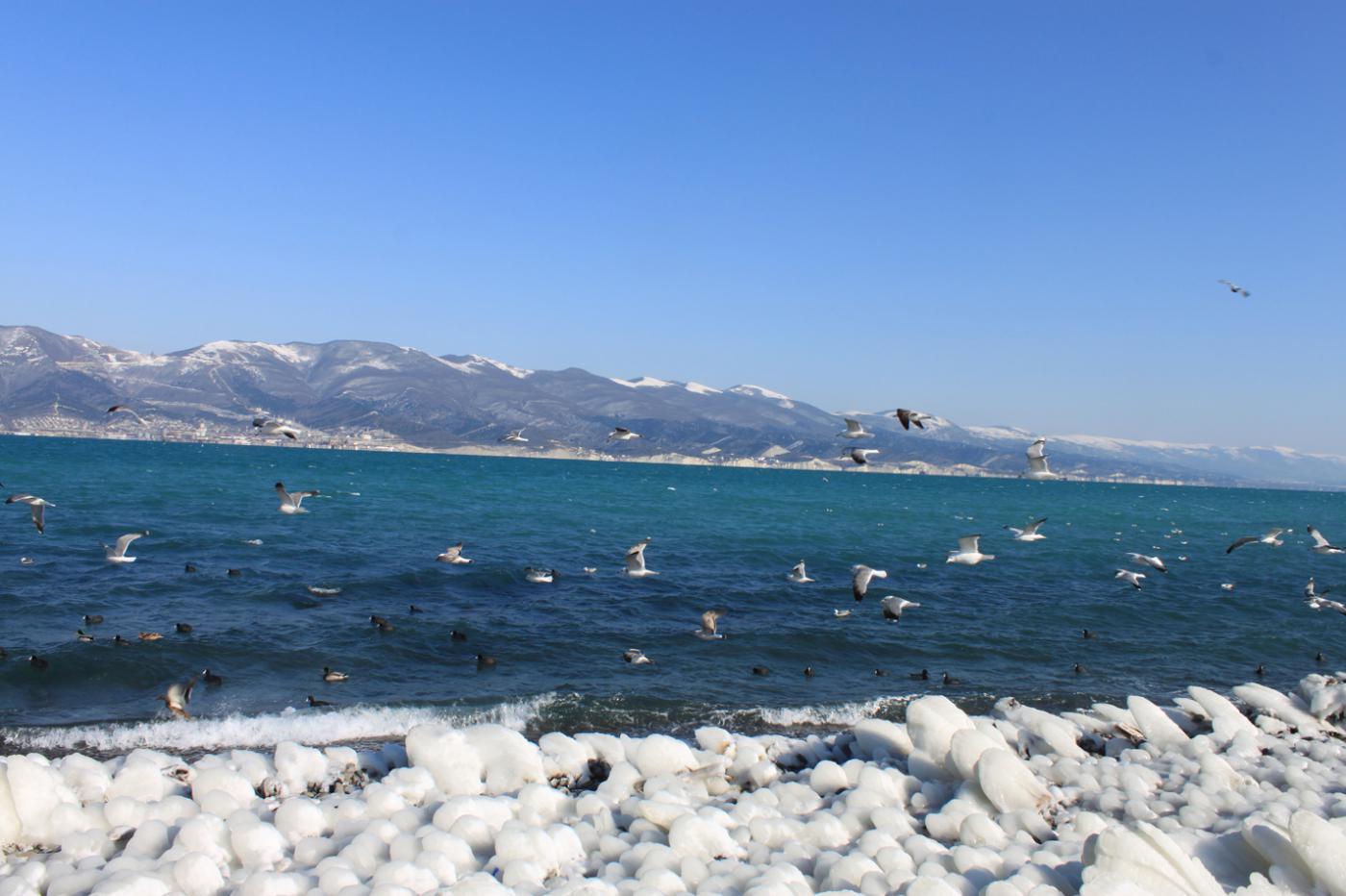 Новороссийск зимой. Море, чайки, обледеневший берег. 8.02.2012 г.