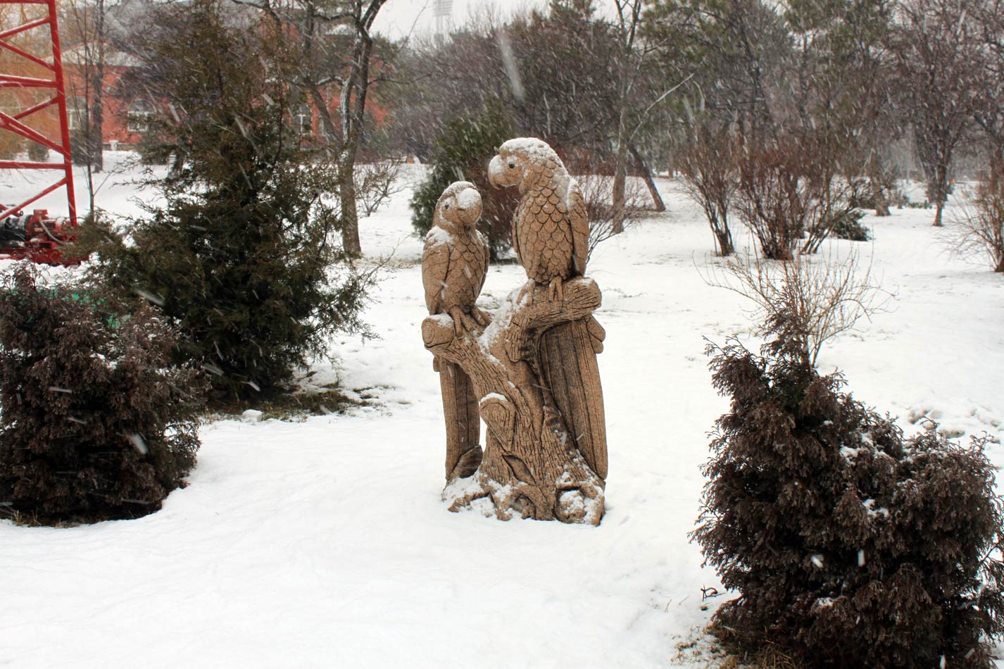 Новороссийск зимой. Скульптура попугаев. Идет снег. 9.02.2012 г.