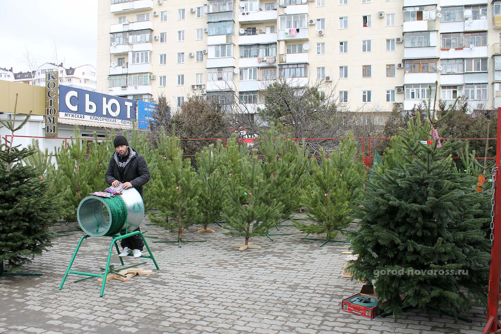 Продажа елок на Анапском шоссе в Новороссийске. 2013 г