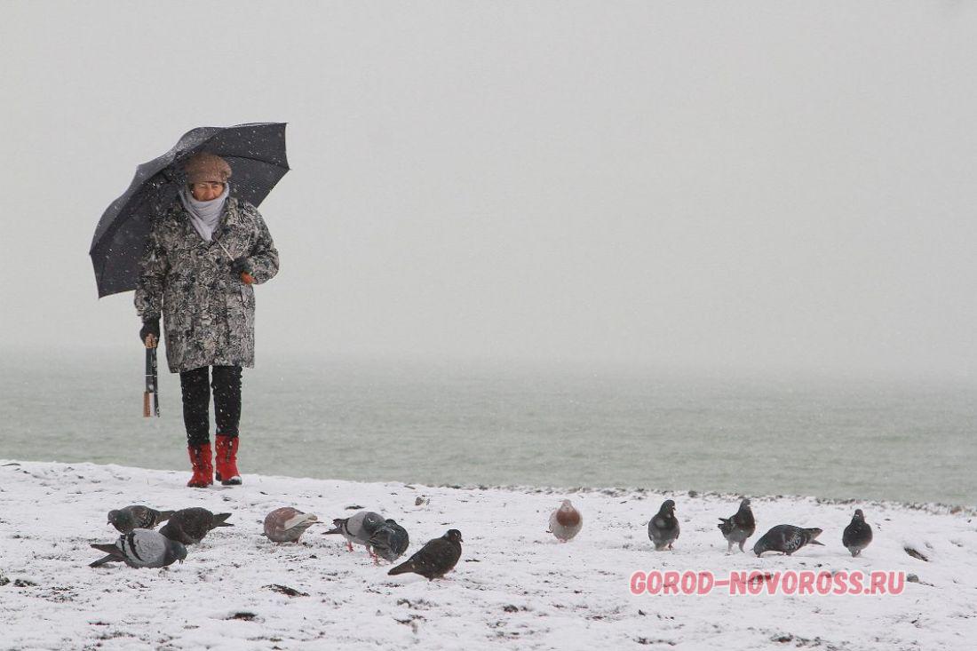 сильный ветер в сочи. сочи декабрь месяц 2022 есть ли снег. дождь в городе фото. зима в краснодарском крае. похолодание в сочи.