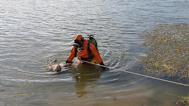 В Саратове на «диком» пляже утонул мужчина