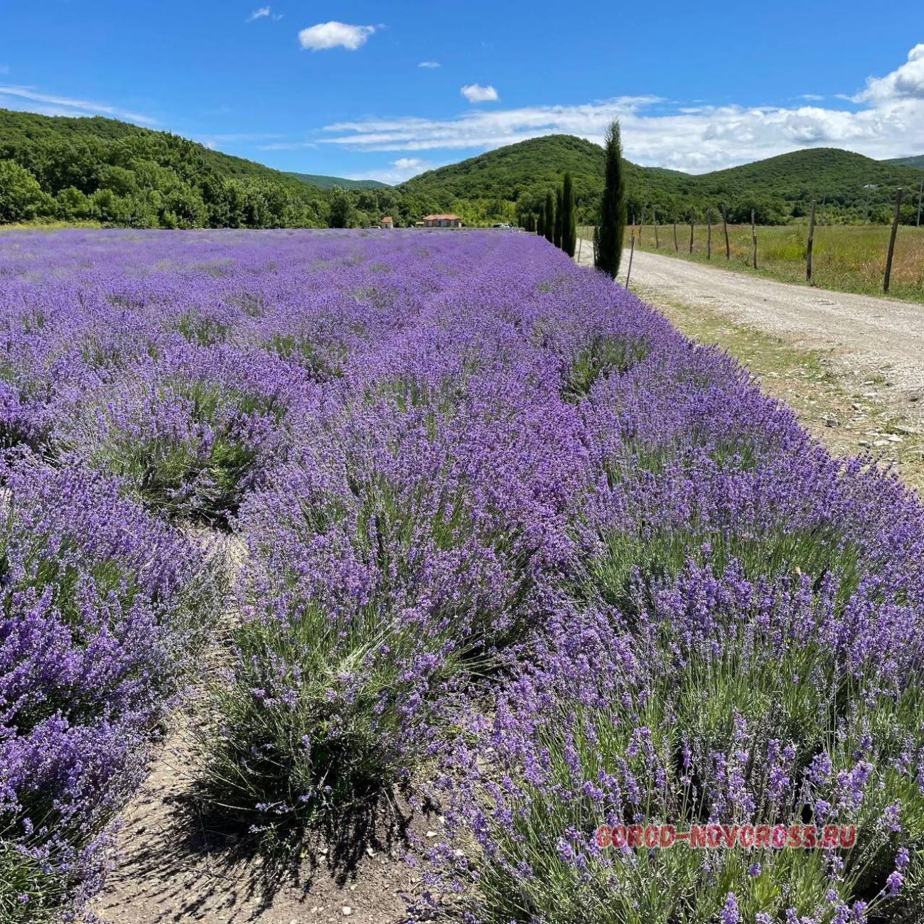 Хутор семигорский краснодарский край фото