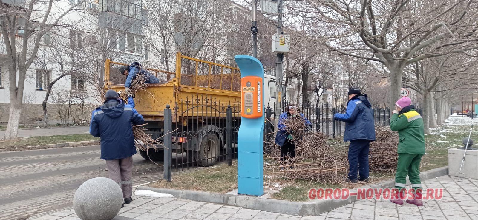 Новости новороссийска сегодня последние