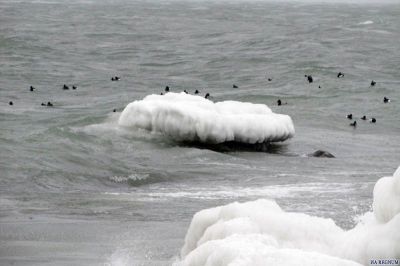 Новороссийск зимой. Обледенение камня в море