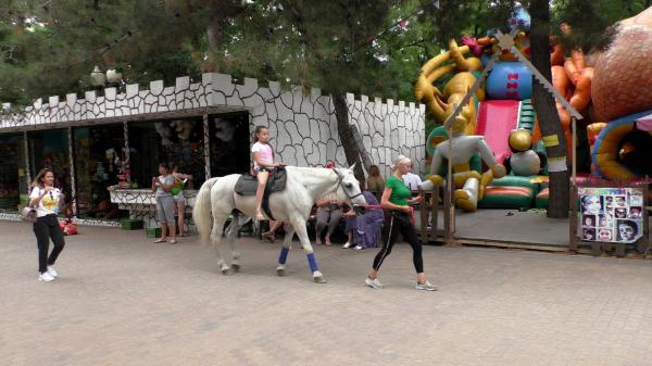 Катание на лошадях в Парке Ленина Новороссийска