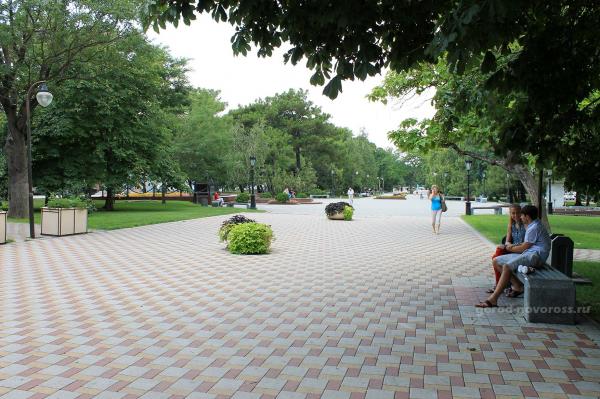 Парковая аллея на ул. Советов в Новороссийске