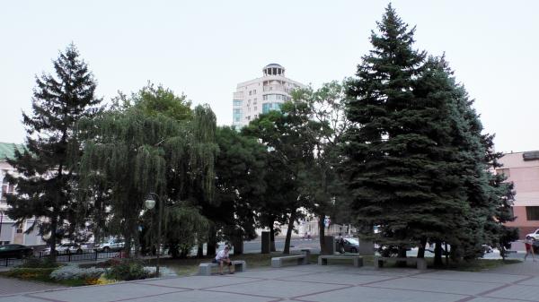 В парковой аллее Новороссийска