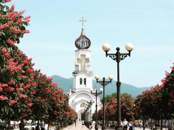 Фото цветущих красных каштанов на Бульваре Черняховского Новороссийск