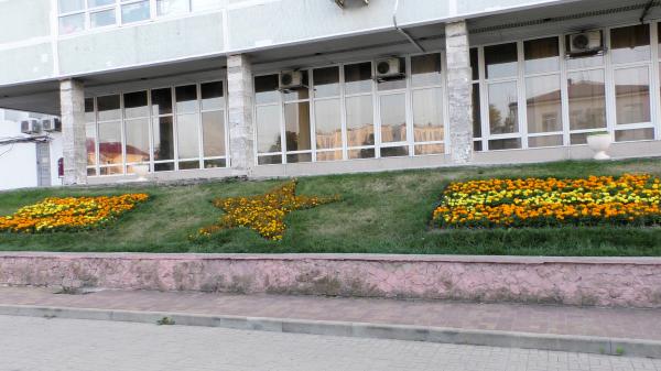 Цветочные композиции на Бульваре Победы в Новороссийске
