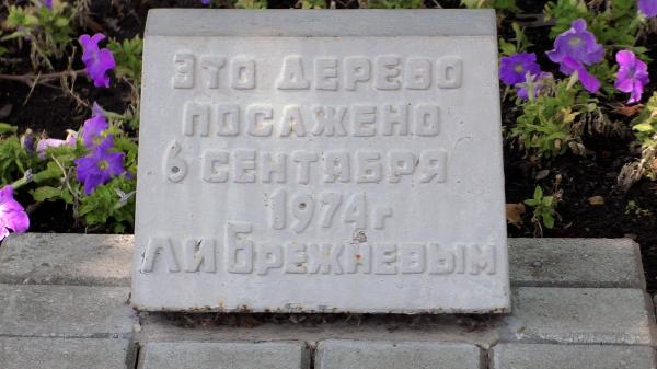 Табличка-плита Платан Л. И. Брежнева в Новороссийске